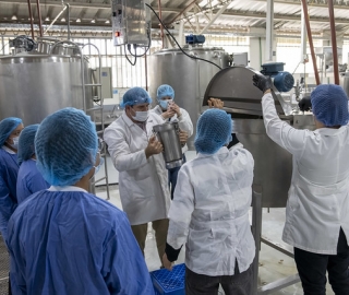 Talleres de innovación en alimentos