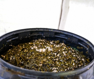 Diseño y Evaluación de un Sistema Agroecológico de Producción Hortícola