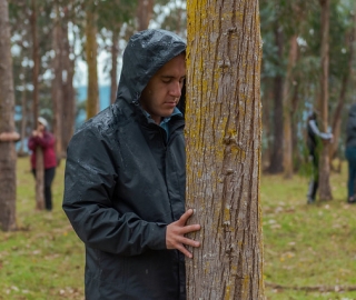 IntegralMente | Caminata Terapeútica IntegralMente | Caminata Terapeútica