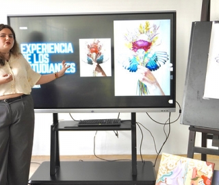 Creación de un Portfolio Digital para obra pictórica con identidad local