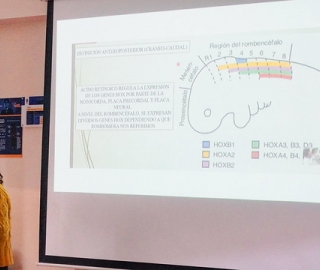 Proyecto de prevención de anomalías congénitas. Una estrategia de aprendizaje aplicado a la asignatura de embriología