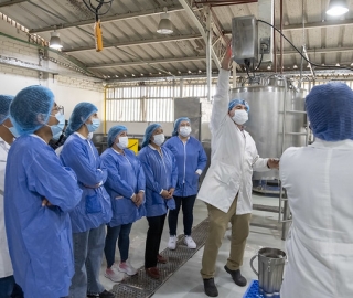 Talleres de innovación en alimentos