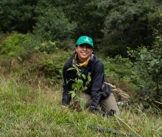 Reforestación en Cajanuma en alianza con Cascos Verdes
