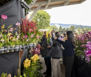 Exposición de Orquídeas Ecuagenera Exposición de Orquídeas Ecuagenera