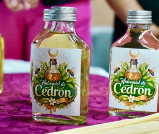 Bebidas herbales fermentadas