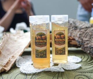 De la tradición a la bioeconomía: Propuesta para bioemprendimientos sostenibles basados en productos no maderables del Tundo.