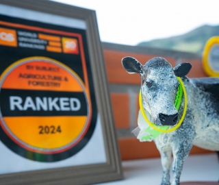 Feria Agropecuaria y VIII Concurso Semilla de Oro Feria Agropecuaria y VIII Concurso Semilla de Oro