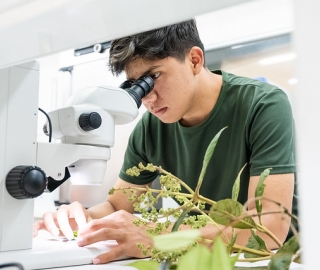 Internacionalización | Carrera de Biología Internacionalización | Carrera de Biología