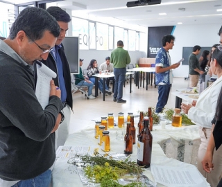 De la tradición a la bioeconomía: Propuesta para bioemprendimientos sostenibles basados en productos no maderables del Tundo.