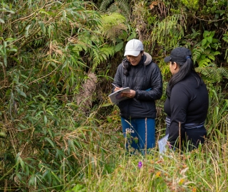 Aldea Global | Taller práctico de Genética con estudiantes de Ingeniería Agropecuaria Aldea Global | Taller práctico de Genética con estudiantes de Ingeniería Agropecuaria