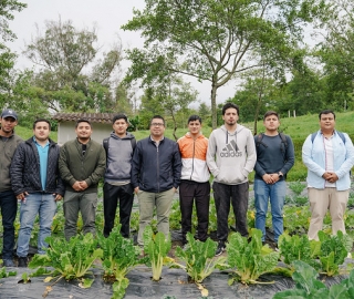 Diseño y Evaluación de un Sistema Agroecológico de Producción Hortícola