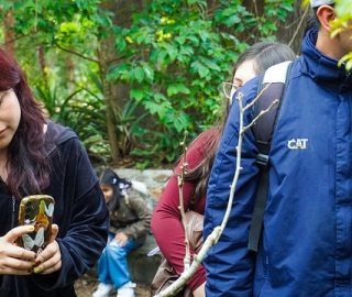 Liter-natura: escritura desde la experiencia con la naturaleza