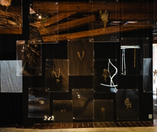 "Anhelo de Vivir": UTPL presente en la Bienal de Cuenca 2025