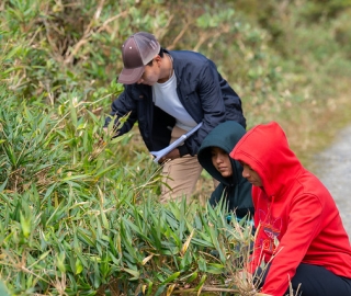 Aldea Global | Taller práctico de Genética con estudiantes de Ingeniería Agropecuaria Aldea Global | Taller práctico de Genética con estudiantes de Ingeniería Agropecuaria