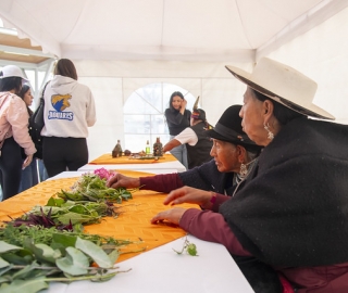 Inti Raymi de las universidades y diversidades 2025. Jornadas de curación y saberes Inti Raymi de las universidades y diversidades 2025. Jornadas de curación y saberes