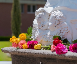 Día de la Inmaculada Concepción de la Virgen María
