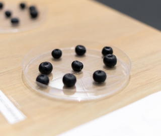 Conexia: De residuo a recurso – Innovación en envases y materiales