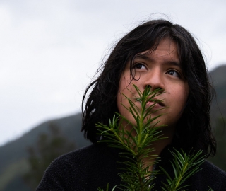Reforestación en Cajanuma en alianza con Cascos Verdes