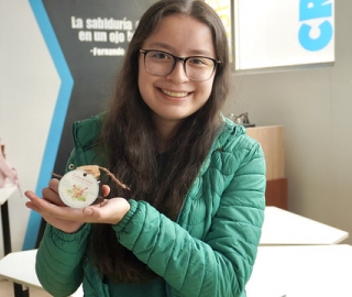 Shots & elixires herbales