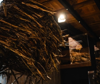 "Anhelo de Vivir": UTPL presente en la Bienal de Cuenca 2025