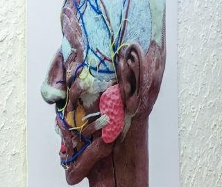 Exposición colectiva “El arte de la identificación facial” Exposición colectiva “El arte de la identificación facial”