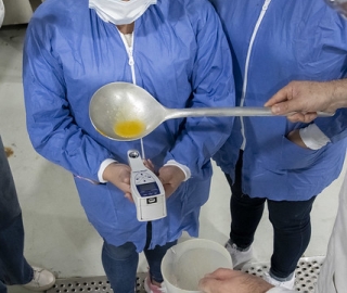 Talleres de innovación en alimentos