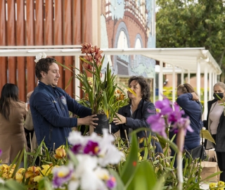 Exposición de Orquídeas Ecuagenera Exposición de Orquídeas Ecuagenera