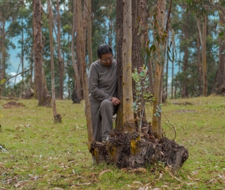 IntegralMente | Caminata Terapeútica