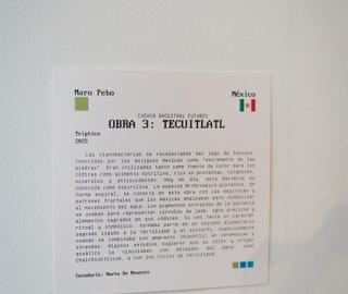 "Anhelo de Vivir": UTPL presente en la Bienal de Cuenca 2025