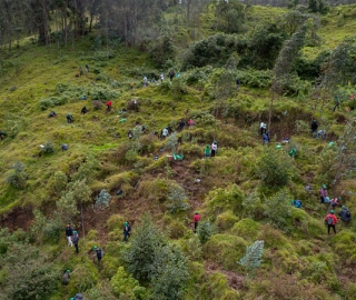 Reforestación en Cajanuma en alianza con Cascos Verdes Reforestación en Cajanuma en alianza con Cascos Verdes