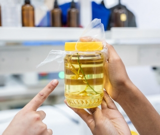 Internacionalización | Carrera de Biología Internacionalización | Carrera de Biología