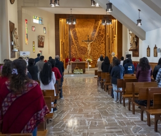 Segunda Corte | Proyecto No Estás Solo Segunda Corte | Proyecto No Estás Solo