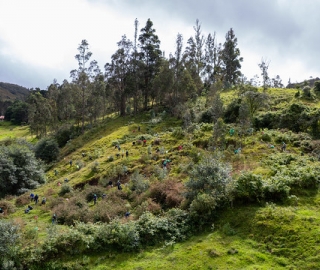 Reforestación en Cajanuma en alianza con Cascos Verdes Reforestación en Cajanuma en alianza con Cascos Verdes