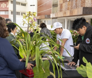Exposición de Orquídeas Ecuagenera Exposición de Orquídeas Ecuagenera