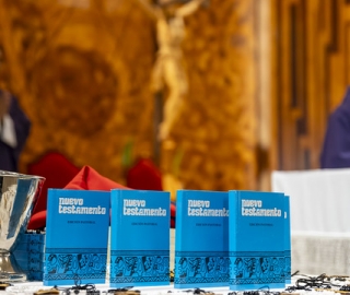 Misión Idente Profesional Taquil 2026