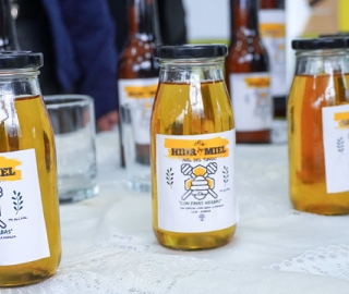 De la tradición a la bioeconomía: Propuesta para bioemprendimientos sostenibles basados en productos no maderables del Tundo.