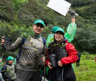 Reforestación en Cajanuma en alianza con Cascos Verdes