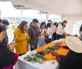 Inti Raymi de las universidades y diversidades 2025. Jornadas de curación y saberes Inti Raymi de las universidades y diversidades 2025. Jornadas de curación y saberes