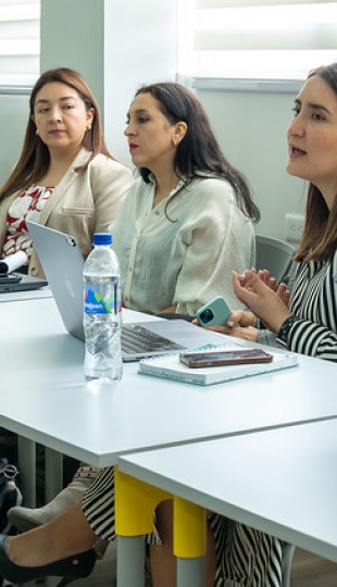Mentoría para el proceso de acreditación EQUAA