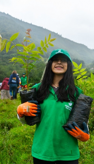 Reforestación en Cajanuma en alianza con Cascos Verdes Reforestación en Cajanuma en alianza con Cascos Verdes