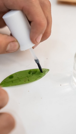 Internacionalización | Carrera de Biología Internacionalización | Carrera de Biología