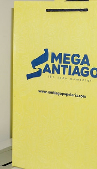 Gestión eficiente de inventarios: Un enfoque de auditoría para la Empresa Gráficas Santiago