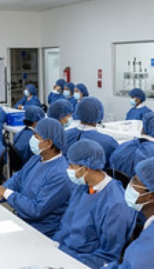 Talleres Académicos de Bioquímica y Farmacia y Geología