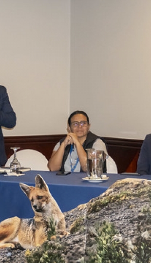 Participación seminario “Escazú en movimiento: avances y desafíos para su implementación en Ecuador”.