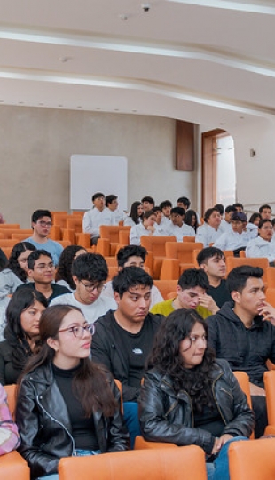 Taller académico Alimentos funcionales