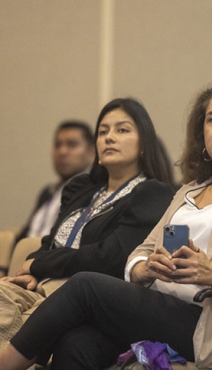 I Congreso Internacional de Emprendimiento y Competencia Económica