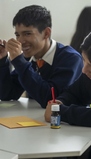 Talleres Académicos de Bioquímica y Farmacia y Geología