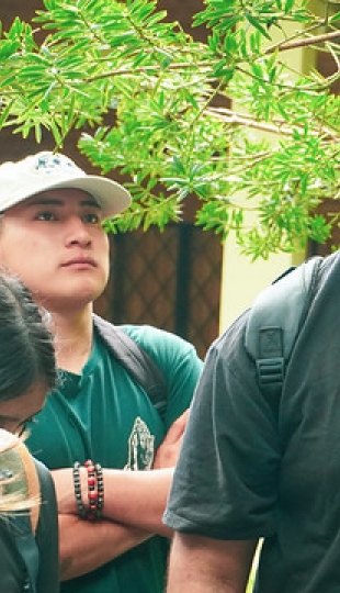 Liter-natura: escritura desde la experiencia con la naturaleza