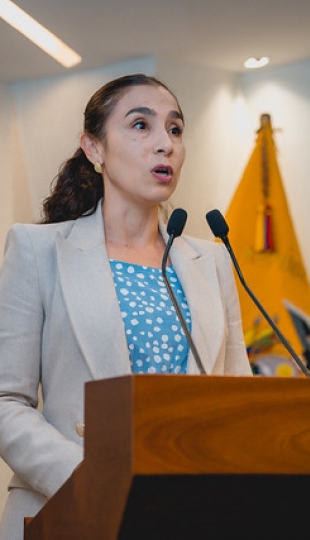 Concurso Mentes Brillantes Concurso Mentes Brillantes