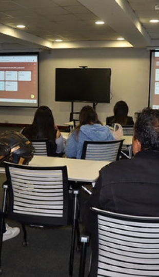 Taller participativo de socialización de resultados y estrategias psicopedagógicas para la convivencia en centros de práctica